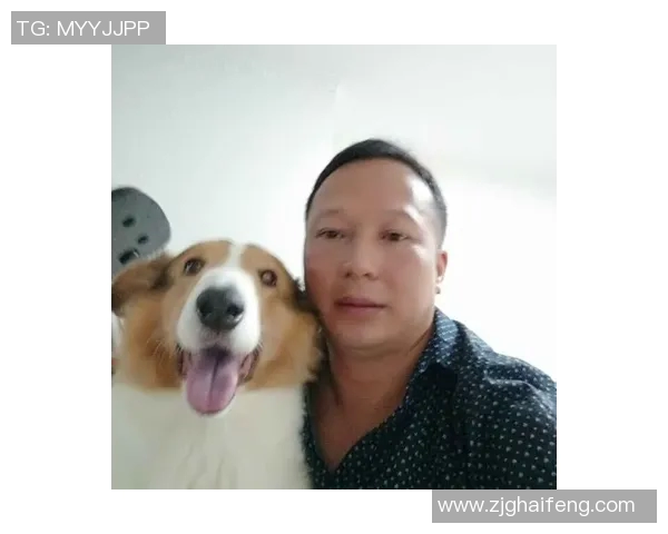 全面解析bf90vs比分网的实时数据与赛事动态,助你掌握最新体育资讯